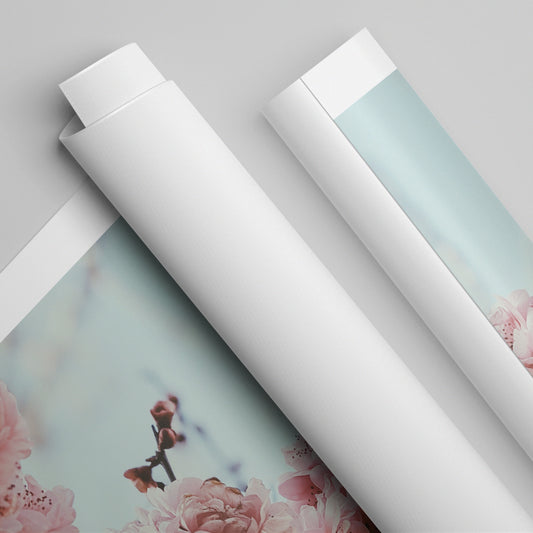 Canvas Roll